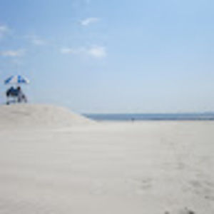 Meet your Posher, Tatum